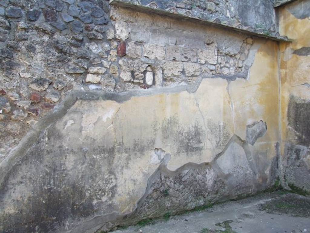 VII.4.31 Pompeii. March 2009. Room 20. Oecus. South wall.