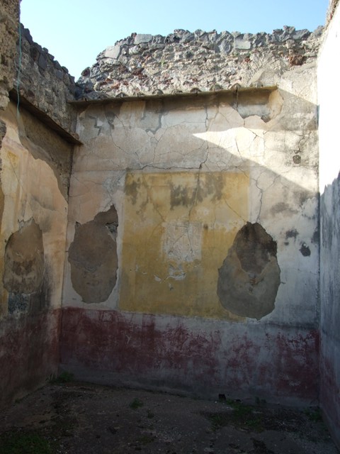 VII.4.31 Pompeii. March 2009. Room 21, detail of wall decoration (leopard?) on north wall of triclinium.