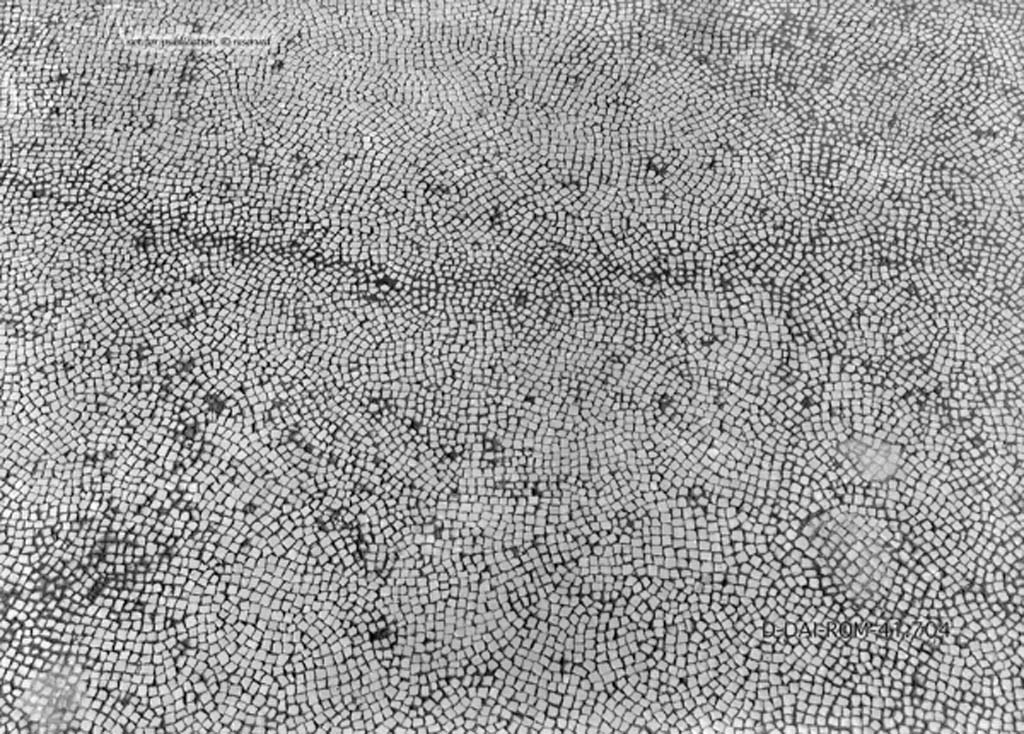 VII.4.31/51 Pompeii. c.1930. Room 23, mosaic floor in exedra/tablinum.
DAIR 41.704. Photo © Deutsches Archäologisches Institut, Abteilung Rom, Arkiv.
See Pernice, E. 1938. Pavimente und Figürliche Mosaiken: Die Hellenistische Kunst in Pompeji, Band VI. Berlin: de Gruyter, (described as tablinum 27, see Taf. 34.5.)