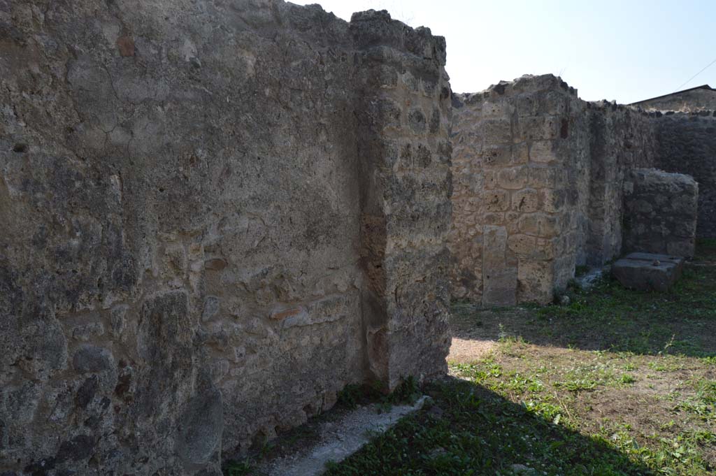 VII.4.31 Pompeii. March 2009. Room 5, north-west corner of cubiculum.  
Remains of stucco and painted plaster on upper wall. 
The middle section had been plastered but not painted and the lower wall had not been started at all.  The work of decoration was obviously interrupted and never finished.
