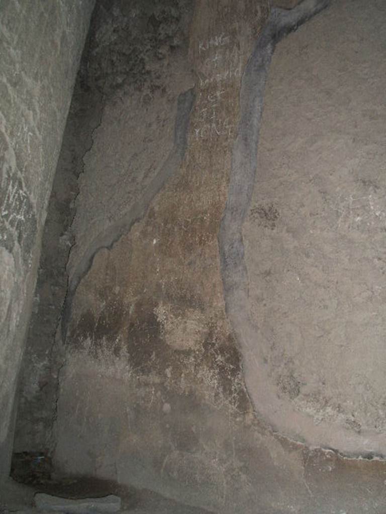 VII.4.37 Pompeii. May 2006. Hearth against north wall.