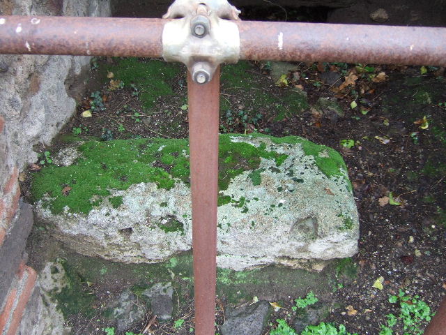 VII.4.44 Pompeii. May 2010. North wall.