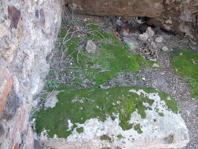 VII.4.44 Pompeii. December 2005. North wall.