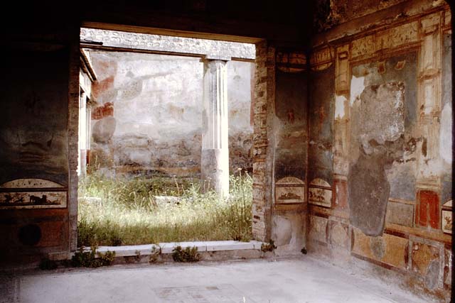 VII.4.48 Pompeii. December 2007.  Room 11. Tablinum. West wall.
