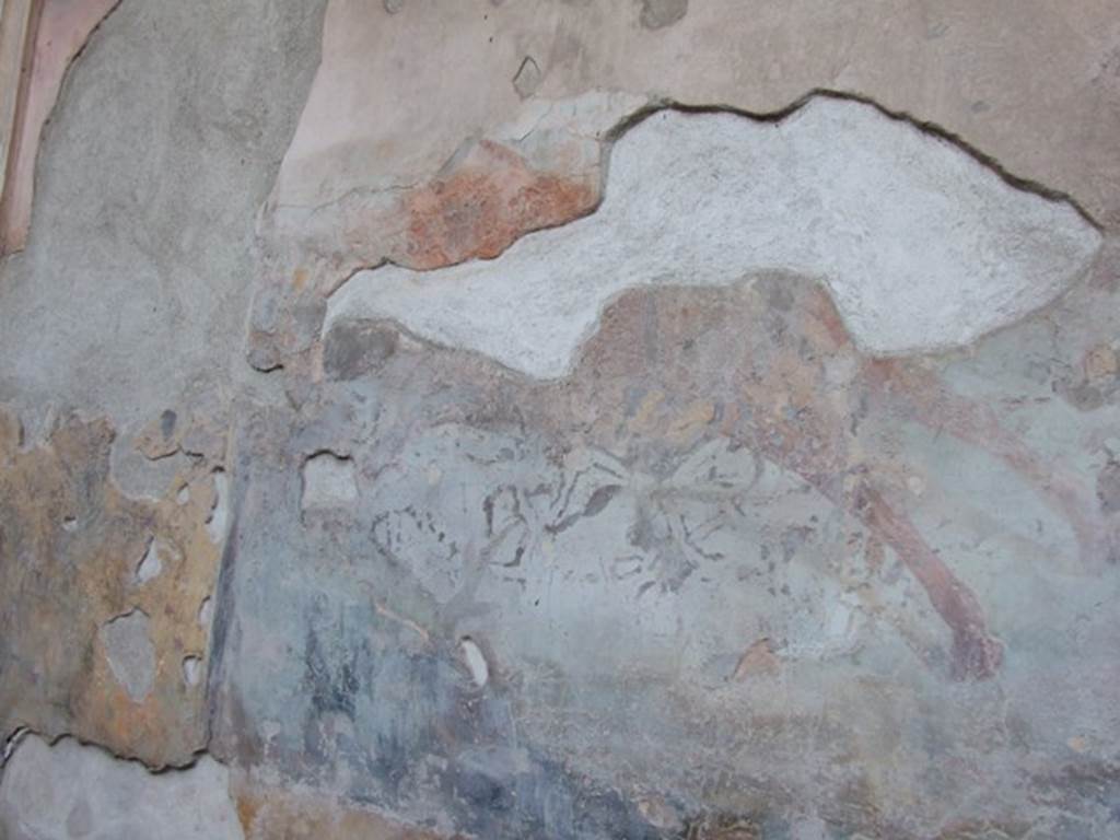 VII.4.48 Pompeii. December 2007. Peristyle. South wall, east end. Hunt scene animal.