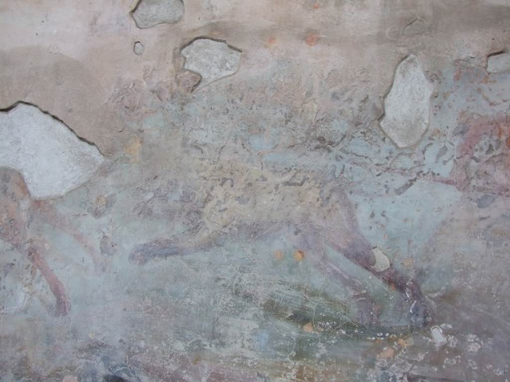 VII.4.48 Pompeii. December 2007. Peristyle. South wall. Hunt scene animal.