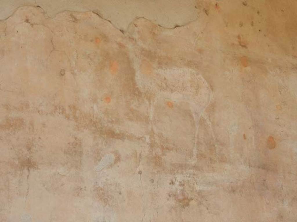 VII.4.48 Pompeii. May 2015. Painted animal from upper centre of south wall
Photo courtesy of Buzz Ferebee.