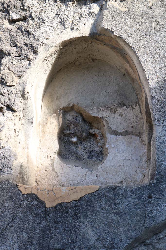 VII.4.49 Pompeii. March 2009. East wall with niche.