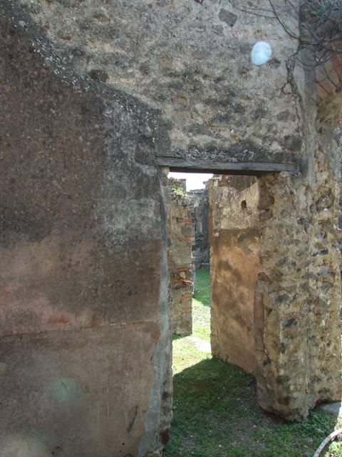 VII.4.56 Pompeii.  March 2009.   Room 6.  East wall.