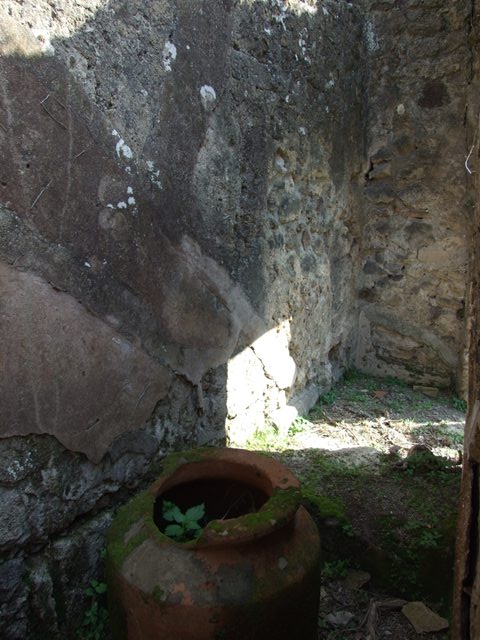 VII.4.56 Pompeii. March 2009. Cistern opening in North Portico.
