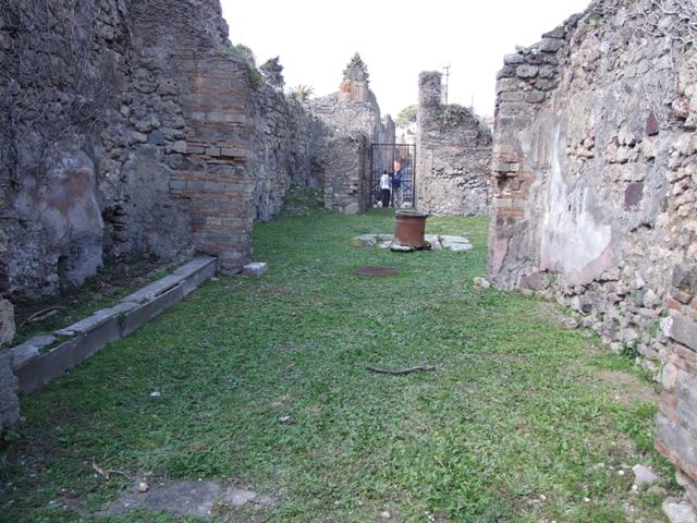 VII.4.56 Pompeii.  March 2009. Room 9, Tablinum.  East wall.