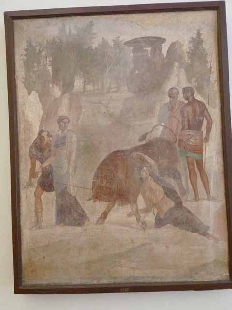 VII.4.56 Pompeii.  March 2009.   Room 9. Tablinum.  West wall.