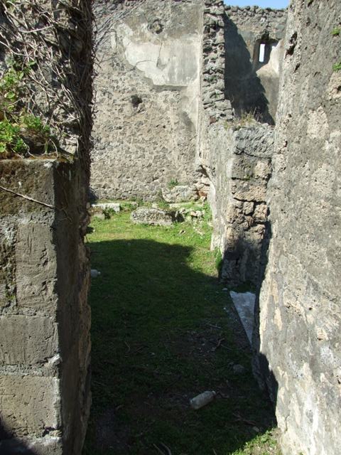 VII.4.57. Pompeii.  March 2009.  Room 14.  Oecus.  North wall. 