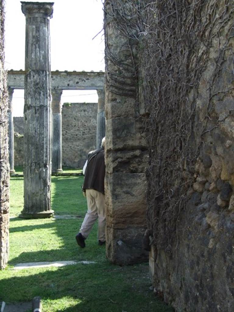 VII.4.57. Pompeii. March 2009. Room 8. Corridor leading to Peristyle, looking south, with small door to Oecus at South end of West wall.