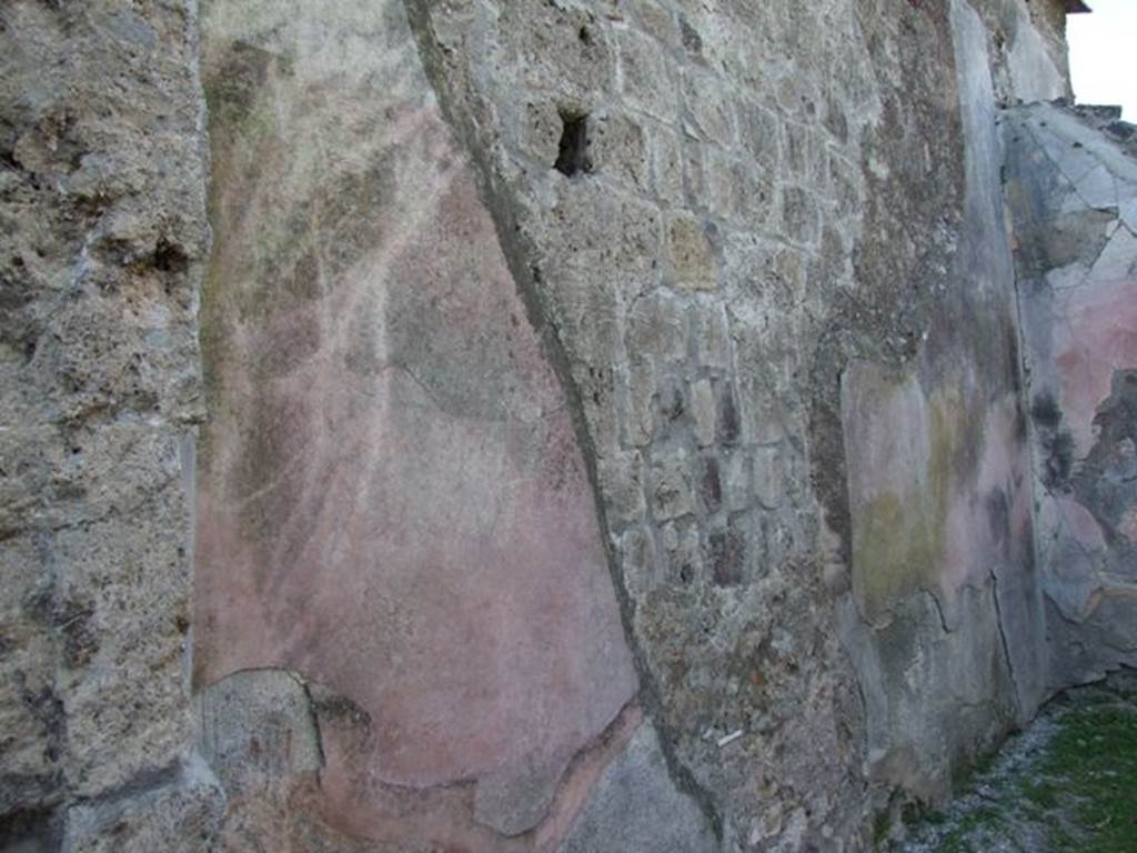 VII.4.57. Pompeii. March 2009. Room 14. Oecus. West wall.