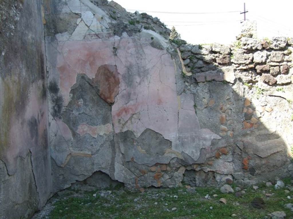 VII.4.57. Pompeii. March 2009. Room 14. Oecus. North wall.