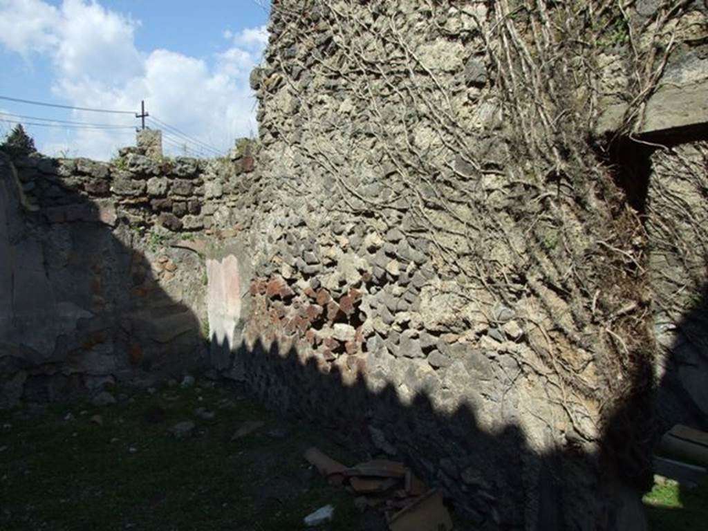 VII.4.57. Pompeii. March 2009. Room 14. Oecus. East wall.