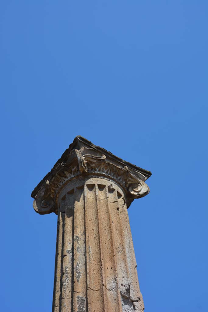 VII.4.57 Pompeii. September 2019.
Detail of column and capital on north portico of peristyle.
Foto Annette Haug, ERC Grant 681269 DÉCOR.