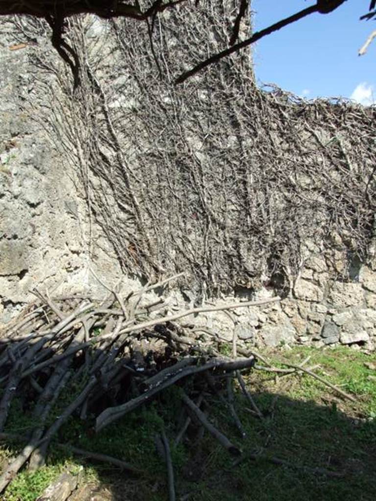 VII.4.57. Pompeii. March 2009. Room 17. Remains of small room.