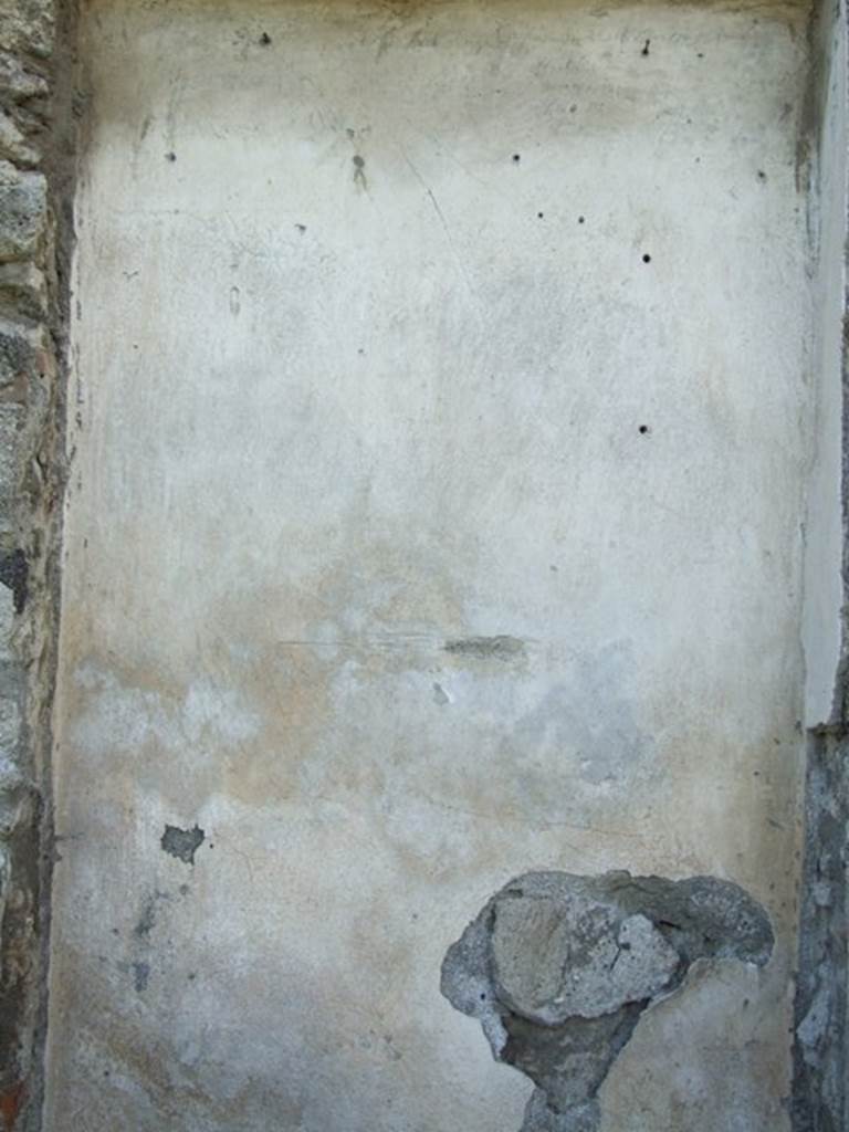 VII.4.57. Pompeii. March 2009. Rear wall of Aedicula Lararium.