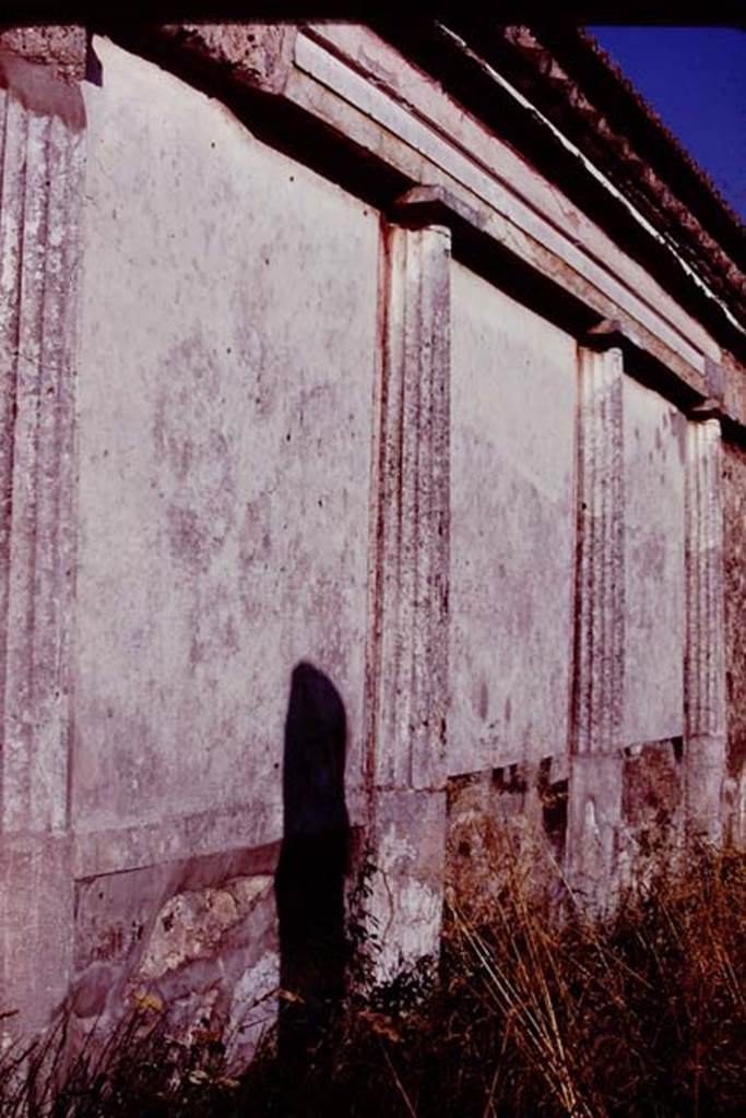 VII.4.59 Pompeii, 1978. Looking south along east wall in peristyle. Photo by Stanley A. Jashemski.
Source: The Wilhelmina and Stanley A. Jashemski archive in the University of Maryland Library, Special Collections (See collection page) and made available under the Creative Commons Attribution-Non Commercial License v.4. See Licence and use details. J78f0087