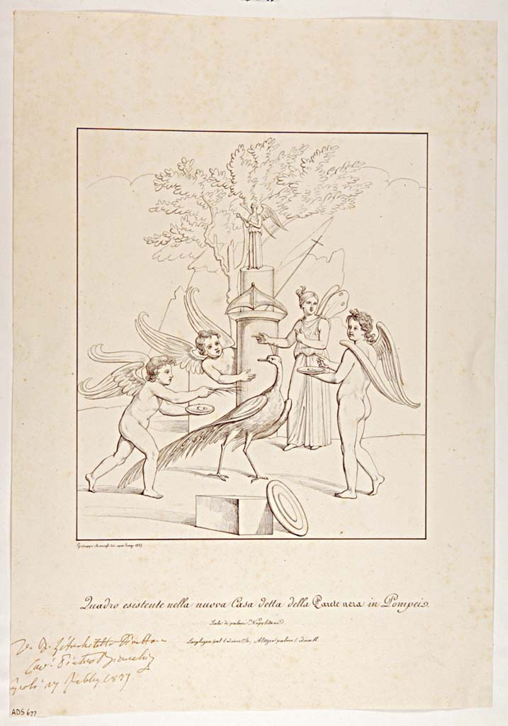 VII.4.59 Pompeii. Drawing by Giuseppe Marsigli, 1837, a copy of the painting of Cupids and Psyche making sacrifices to Hera.
Found in the Exedra or triclinium y, south wall.
Now in Naples Archaeological Museum. Inventory number ADS 677.
Photo © ICCD. http://www.catalogo.beniculturali.it
Utilizzabili alle condizioni della licenza Attribuzione - Non commerciale - Condividi allo stesso modo 2.5 Italia (CC BY-NC-SA 2.5 IT)