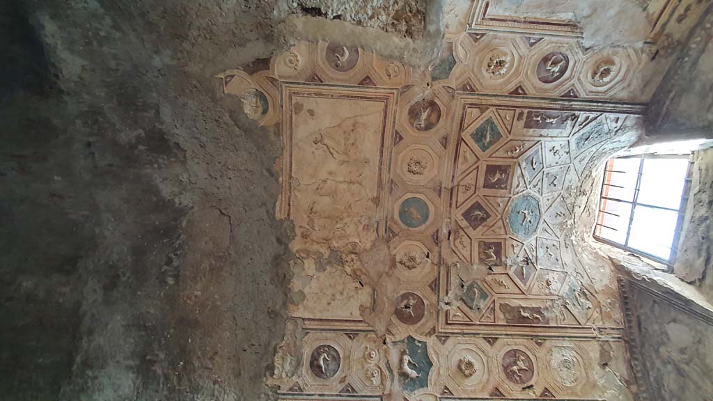 VII.5.24 Pompeii. August 2021. Tepidarium (37), detail of upper ceiling of south end.
Foto Annette Haug, ERC Grant 681269 DÉCOR.