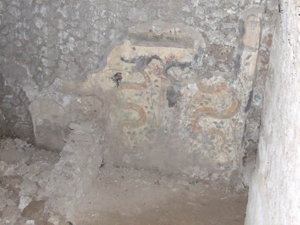 VII.6.3 Pompeii. December 2007. Remains of Lararium wall painting in kitchen g. Two upright serpents either side of a round altar with plants in the background. Above this on the upper part, now lost, was an offering scene. See Fr�hlich, T., 1991. Lararien und Fassadenbilder in den Vesuvst�dten. Mainz: von Zabern. (L87, T: 42,1).
