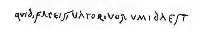 43. Busto virile a destra, parimente graffito, e sotto: (CIL IV 9005),