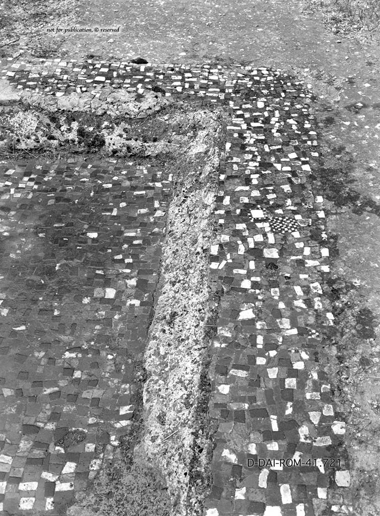 VII.6.10/11/16, Pompeii. c.1930. Flooring in atrium and side of impluvium.
DAIR 41.721. Photo © Deutsches Archäologisches Institut, Abteilung Rom, Arkiv.
See Pernice, E. 1938. Pavimente und Figürliche Mosaiken: Die Hellenistische Kunst in Pompeji, Band VI. Berlin: de Gruyter, (p. 84-5, and Taf. 38,2 above).
According to PPM,
“Particularly interesting was the flooring of the atrium (61) in lava and mortar wrought with flakes of green, red, yellow and white limestone, and the masonry impluvium covered in cocciopesto with a moulded edge that Pernice thought was very elegant. Seen in the cocciopesto border and the base were black, gray, yellow, pink, green, and white flakes, roughly square in shape, with a disposition not entirely regular.”
(Particolarmente interessante era la pavimentazione dell’atrio (61) in battuto di lava e malta con scaglie di calcare verde, rosso, giallo e bianco, e l’impluvio in muratura rivestito di cocciopesto con un bordo dal profilo modanato che colpi Pernice per la sua eleganza. I bordi e il fondo presentavano allettate nel cocciopesto, scaglie nere, grigie, gialle, rosa, verdi, bianche, di forma all’incirca quadrangolare, con disposizione non del tutto regolare).
See PPM VII. 7, (p.180)