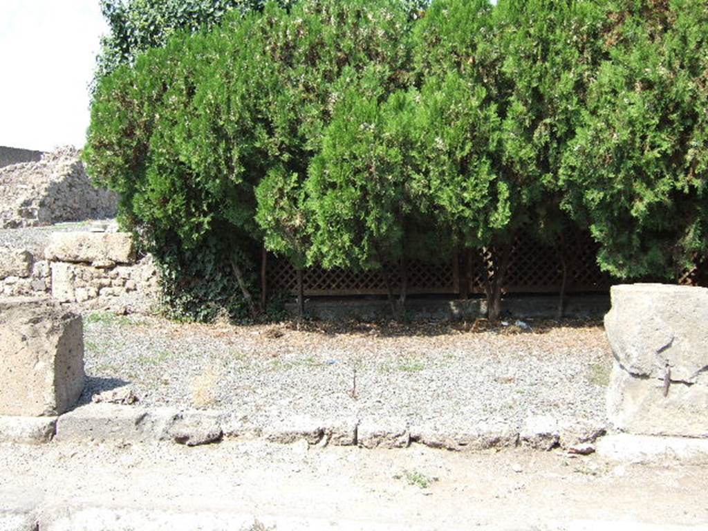 VII.6.25 Pompeii. September 2005. Looking north at entrance to large room, linked in rear wall to VII.6.22 before bombing. On the left, against the (vanished) west wall, would have been a staircase to the upper floor.
See Eschebach, L., 1993. Geb�udeverzeichnis und Stadtplan der antiken Stadt Pompeji. K�ln: B�hlau. (p.295)
