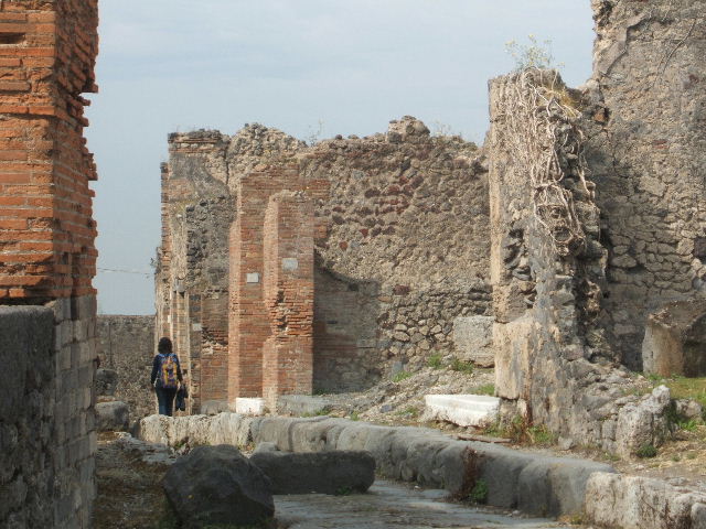VII.6.28 Pompeii. September 2005.
Looking north across remains of atrium, andron and tablinum to the area of the south side of the peristyle. The bombing on 13th September 1943 destroyed two cubicula, one in the south-west and the other in the south-east of the atrium. It also destroyed the west and east portico of the peristyle, a cubiculum on the east of the peristyle, and the perimeter wall to the north. All the painted decoration was lost, the Second style in the tablinum, the Third Style in the cubiculum on the east side of the peristyle, and the beautiful garden painting on the north and east sides of the peristyle.
See Garcia y Garcia, L., 2006. Danni di guerra a Pompei. Rome: L’Erma di Bretschneider. (p.106-7)