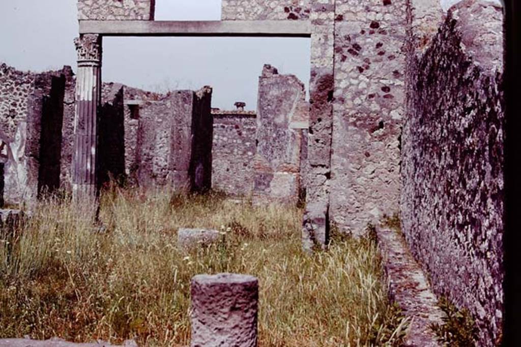 VII.7.17/23 Pompeii, 1978. Looking east across garden area, towards atrium and entrance doorway. Photo by Stanley A. Jashemski.
Source: The Wilhelmina and Stanley A. Jashemski archive in the University of Maryland Library, Special Collections (See collection page) and made available under the Creative Commons Attribution-Non Commercial License v.4. See Licence and use details. J78f0236
