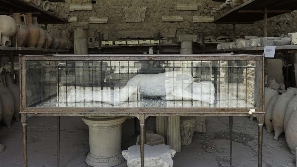 VII.7.29 Pompeii. August 2021.
Items in storage and plaster-cast of young man found in garden of I.6.2, House of the Cryptoporticus. Photo courtesy of Robert Hanson.