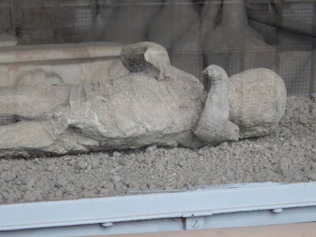 VII.7.29 Pompeii. May 2015. Detail of plaster cast of child found in lower corridor of VI.17.42. Photo courtesy of Buzz Ferebee.