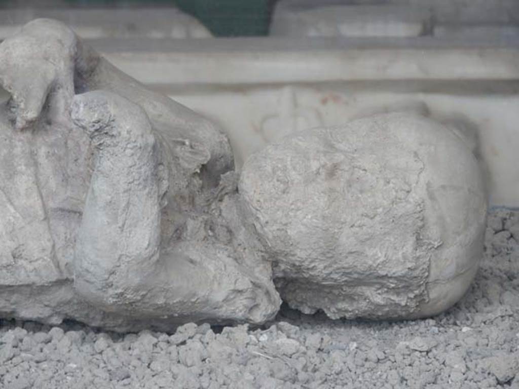 VII.7.29 Pompeii. May 2015. Detail of head of child found in VI.17.42. Photo courtesy of Buzz Ferebee.