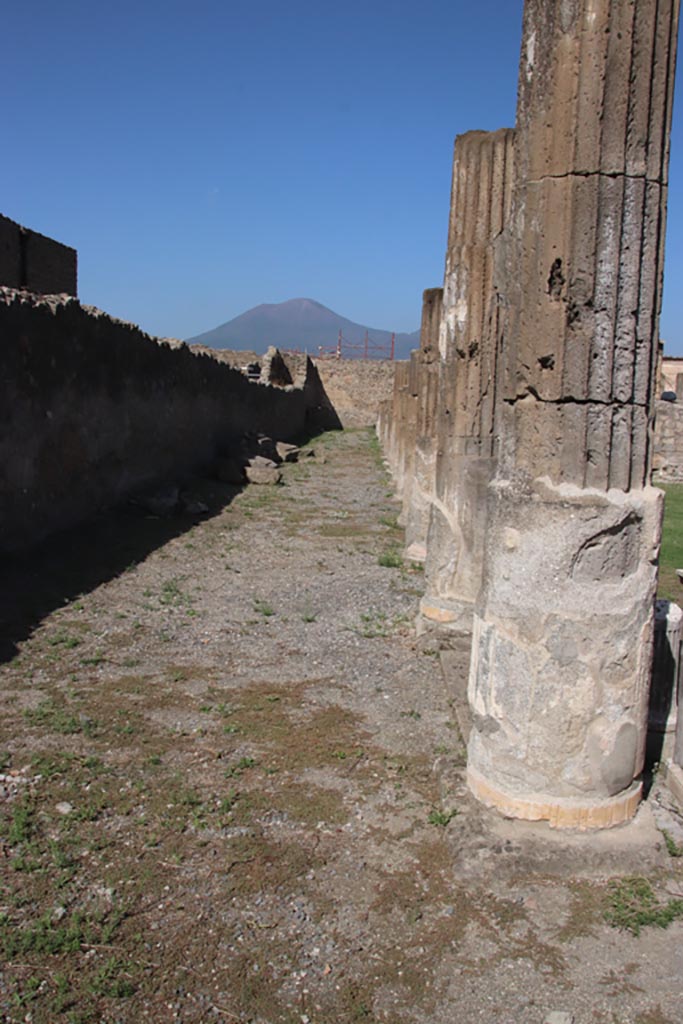 VII.7.32 Pompeii. October 2023.
Looking north along west portico. Photo courtesy of Klaus Heese.