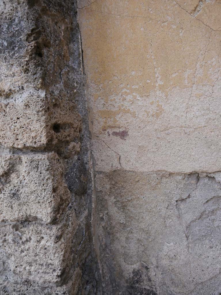 VII.8.01 Pompeii. September 2018. Detail of painted stucco in south-west corner on south wall.
Foto Anne Kleineberg, ERC Grant 681269 DÉCOR.