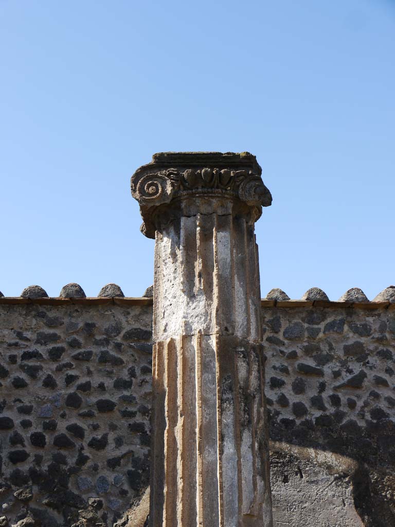 VII.8.01 Pompeii. September 2018. Detail of column near west wall.
Foto Anne Kleineberg, ERC Grant 681269 DÉCOR.