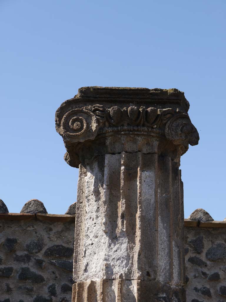 VII.8.01 Pompeii. September 2018. Detail from column near west wall.
Foto Anne Kleineberg, ERC Grant 681269 DÉCOR.