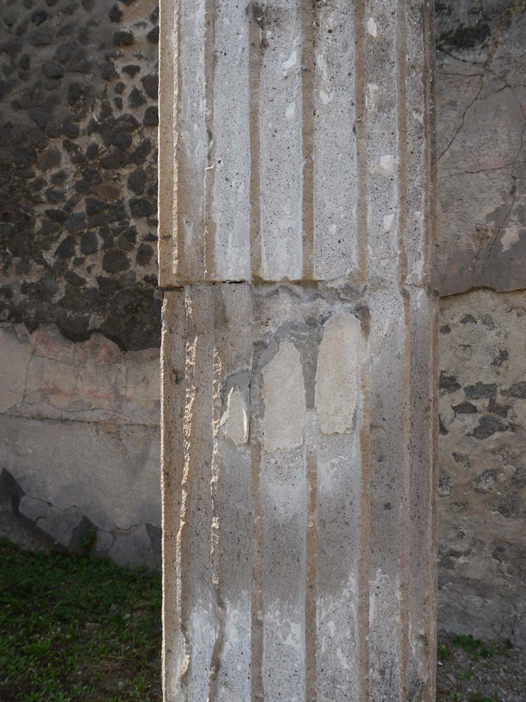 VII.8.01 Pompeii. September 2018. Detail from column near west wall.
Foto Anne Kleineberg, ERC Grant 681269 DÉCOR.