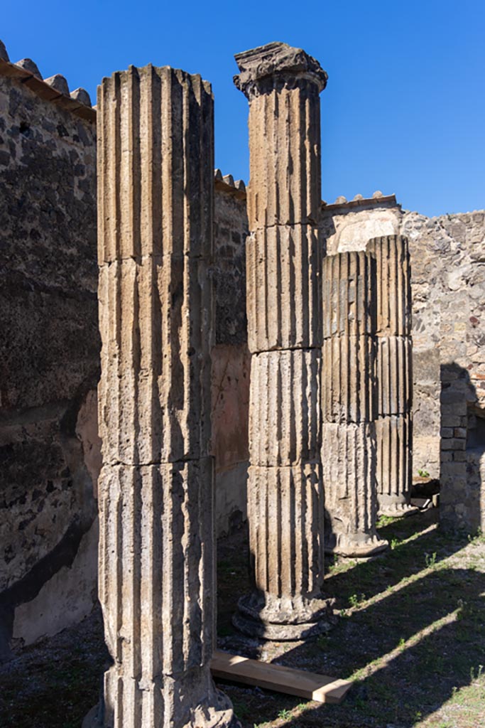 VII.8.1 Pompeii. October 2023.
Looking north along line of columns near west wall at north end. Photo courtesy of Johannes Eber.