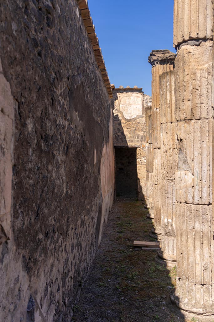 VII.8.1 Pompeii. October 2023.
Looking north along west wall in Temple. Photo courtesy of Johannes Eber.