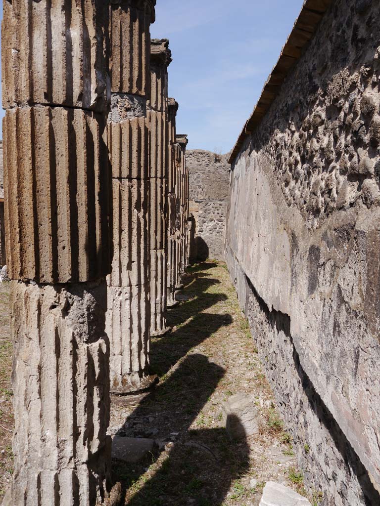 VII.8.01 Pompeii. September 2018. Looking north along east wall of cella towards north-east corner.
Foto Anne Kleineberg, ERC Grant 681269 DÉCOR.