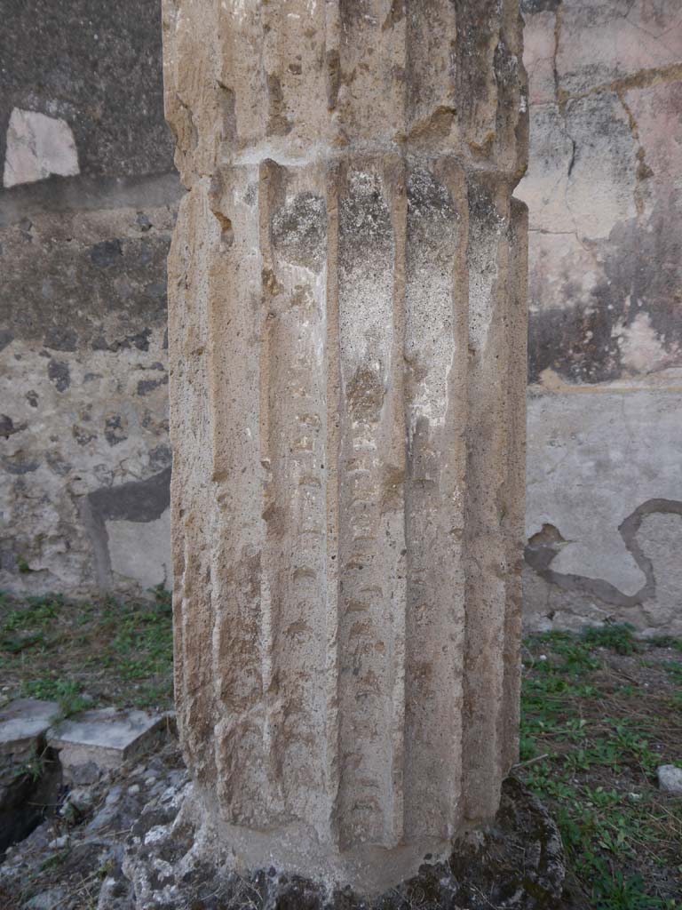 VII.8.01 Pompeii. September 2018. Detail of column near east wall.
Foto Anne Kleineberg, ERC Grant 681269 DÉCOR.