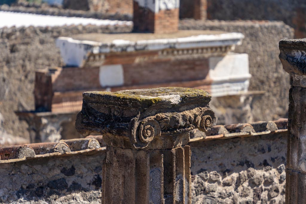 VII.8.1 Pompeii. October 2023. Detail of capital on east side of Temple. Photo courtesy of Johannes Eber.