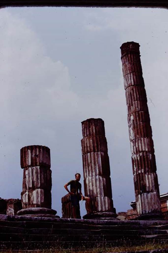 VII.8.1 Pompeii. 1974. Detail of columns on east side. Photo by Stanley A. Jashemski.
Source: The Wilhelmina and Stanley A. Jashemski archive in the University of Maryland Library, Special Collections (See collection page) and made available under the Creative Commons Attribution-Non Commercial License v.4. See Licence and use details. J74f0157