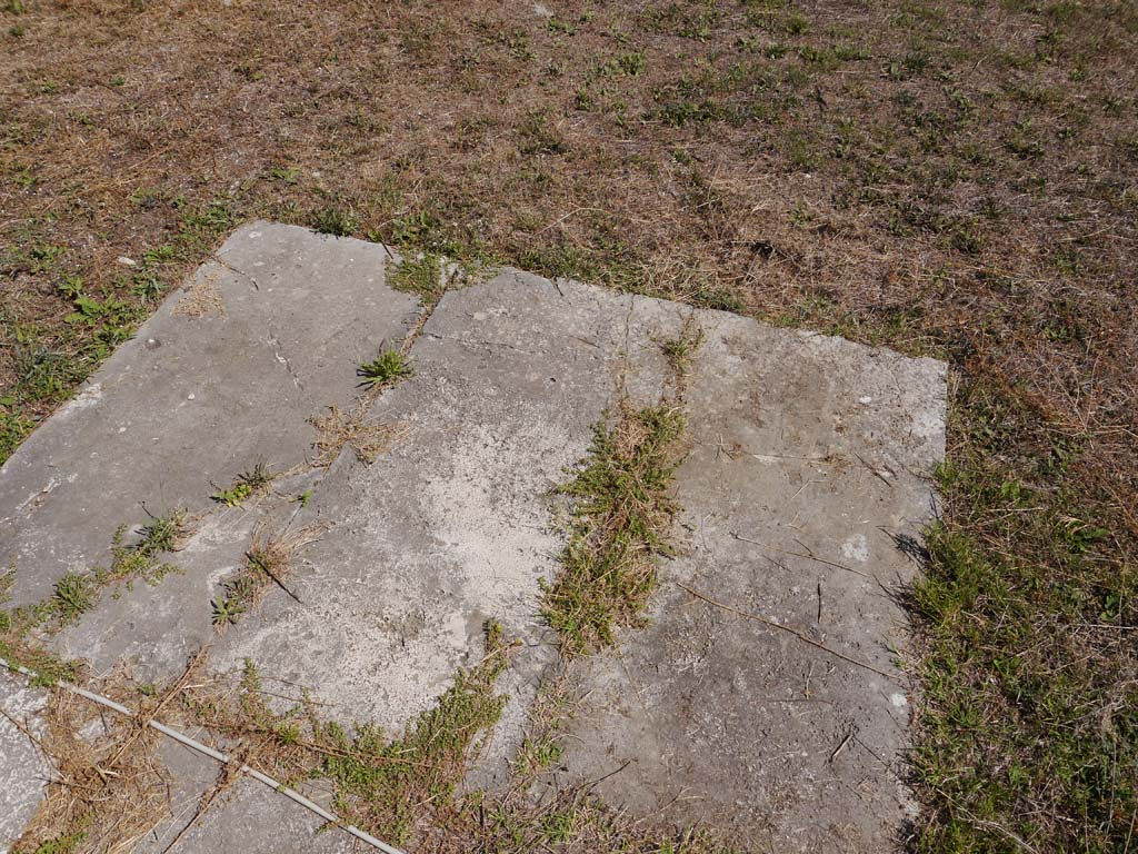VII.8.01 Pompeii. September 2018. Detail of paving on west side of podium.
Foto Anne Kleineberg, ERC Grant 681269 DÉCOR.

