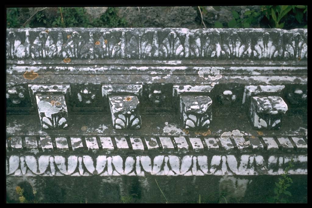 VII.9.1 Pompeii. Carved marble on ground.
Photographed 1970-79 by Günther Einhorn, picture courtesy of his son Ralf Einhorn.