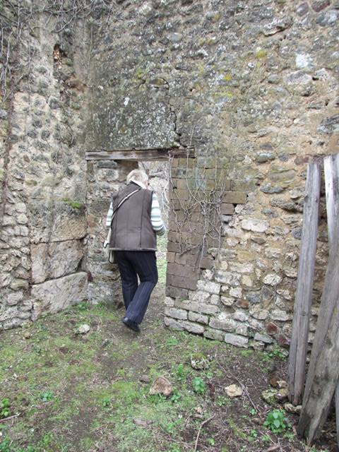 VII.11.14 Pompeii. March 2009. Garden “C”, North east corner.
